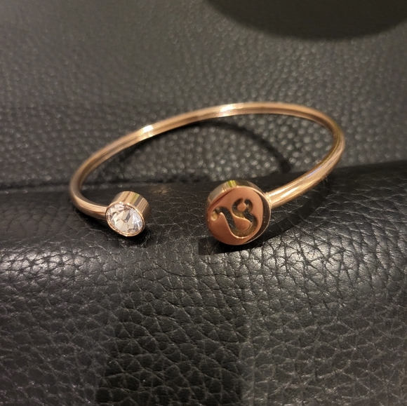 Stainless Steel Leo Bangle with Clear Crystal - Picture 7 of 7